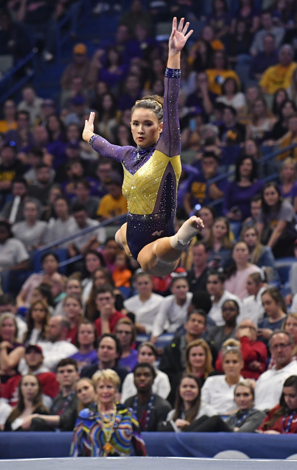 lsugymnastics.032219 HS 2133.JPG